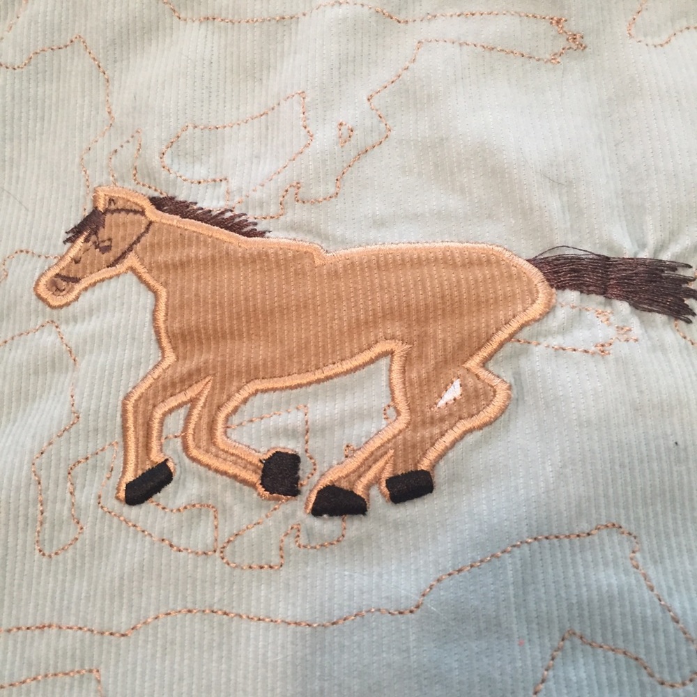 Lands End Corduroy Horse Skirt. size 12 - Picture 5 of 7
